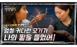  [성장일기] 5부. 엄청 커다란 모기가 나의 팔을 물었어!