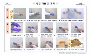 장갑 착용 및 제거 순서도(세종시감염병관리지원단)