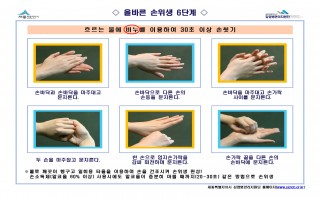 올바른 손씻기 6단계(세종시감염병관리지원단)