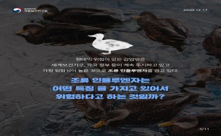 (질병관리청) 조류 인플루엔자 사람 감염증 대응 연구