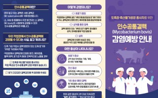 인수공통결핵 리플렛