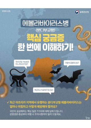 에볼라바이러스병(분디부교형) 핵심 궁금증 한 번에 이해하기!